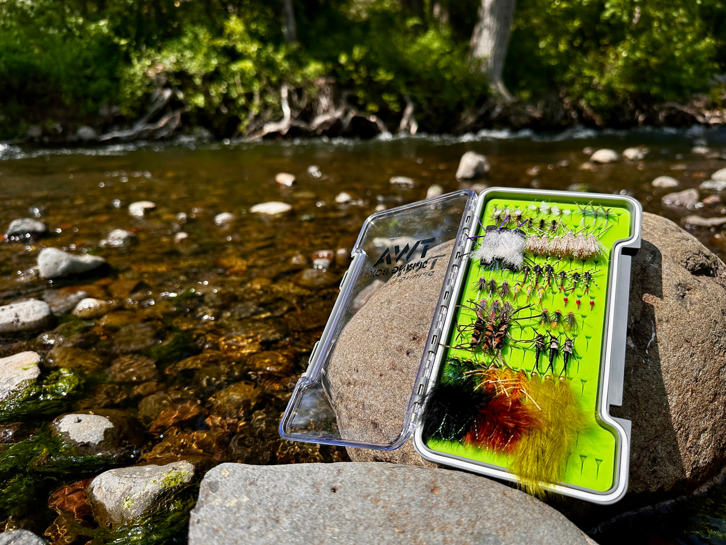 60 Summer Flies and Silicone Fly box