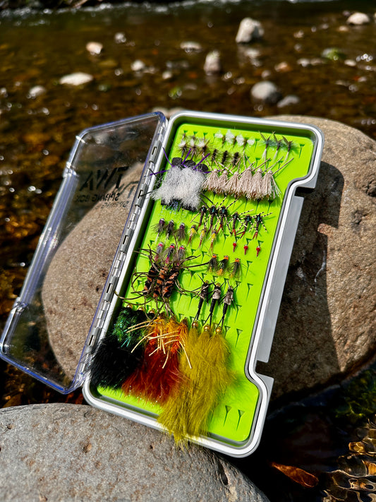 60 Summer Flies and Silicone Fly box